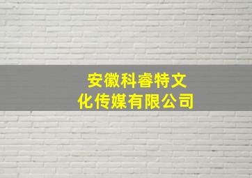 安徽科睿特文化传媒有限公司