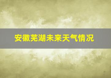 安徽芜湖未来天气情况