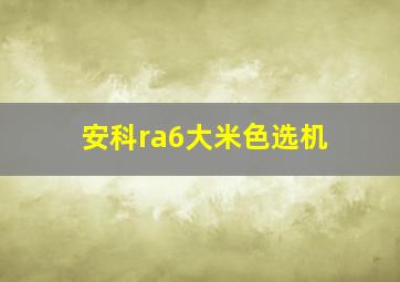 安科ra6大米色选机