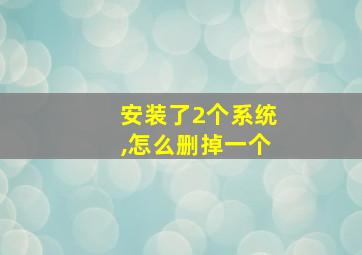 安装了2个系统,怎么删掉一个