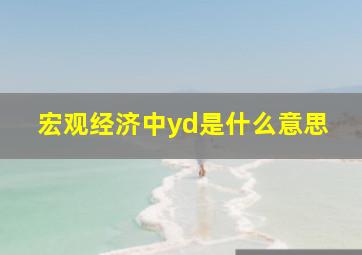 宏观经济中yd是什么意思