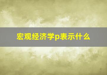 宏观经济学p表示什么