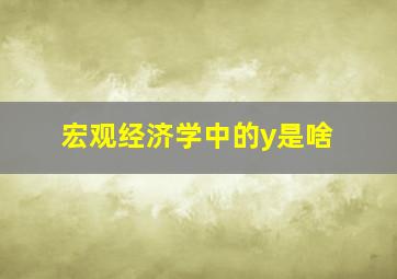 宏观经济学中的y是啥