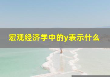 宏观经济学中的y表示什么