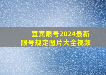 宜宾限号2024最新限号规定图片大全视频