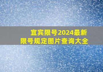 宜宾限号2024最新限号规定图片查询大全