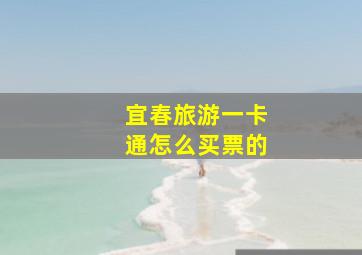 宜春旅游一卡通怎么买票的