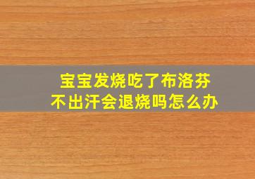 宝宝发烧吃了布洛芬不出汗会退烧吗怎么办