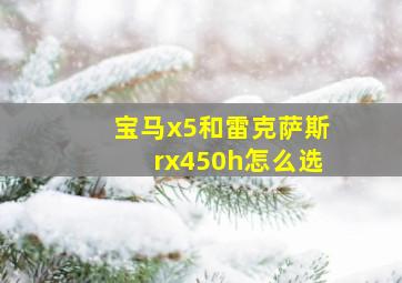 宝马x5和雷克萨斯rx450h怎么选