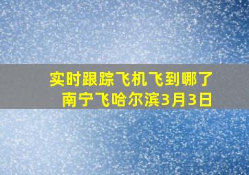 实时跟踪飞机飞到哪了南宁飞哈尔滨3月3日