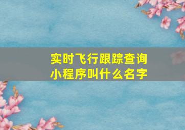 实时飞行跟踪查询小程序叫什么名字