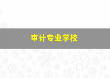 审计专业学校