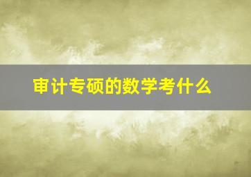 审计专硕的数学考什么