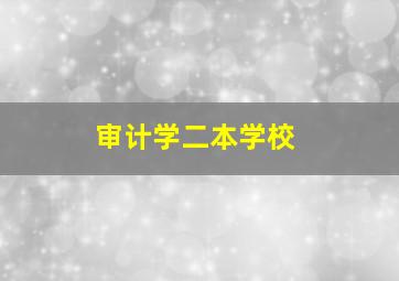 审计学二本学校