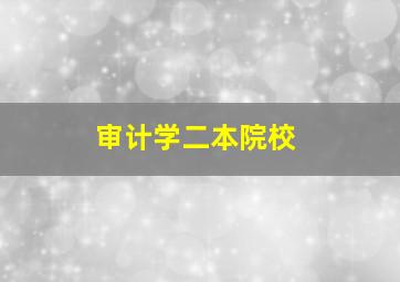 审计学二本院校