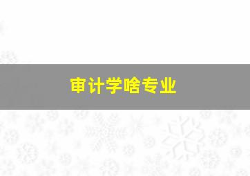 审计学啥专业