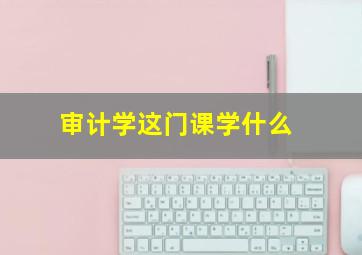 审计学这门课学什么