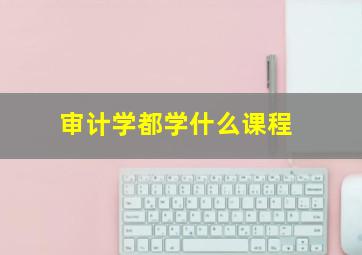 审计学都学什么课程