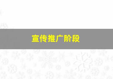 宣传推广阶段