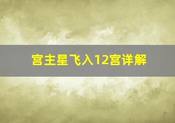 宫主星飞入12宫详解