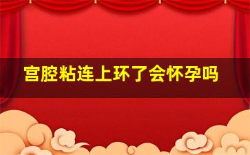 宫腔粘连上环了会怀孕吗