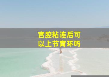 宫腔粘连后可以上节育环吗