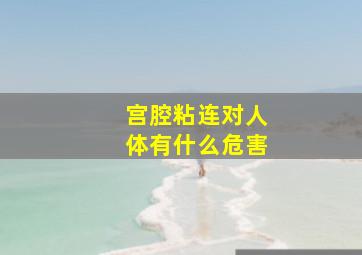 宫腔粘连对人体有什么危害