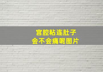 宫腔粘连肚子会不会痛呢图片