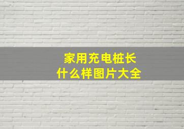 家用充电桩长什么样图片大全