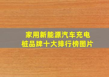 家用新能源汽车充电桩品牌十大排行榜图片