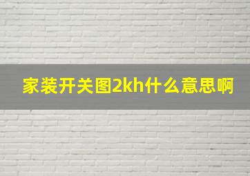 家装开关图2kh什么意思啊