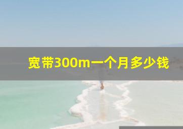 宽带300m一个月多少钱