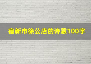 宿新市徐公店的诗意100字