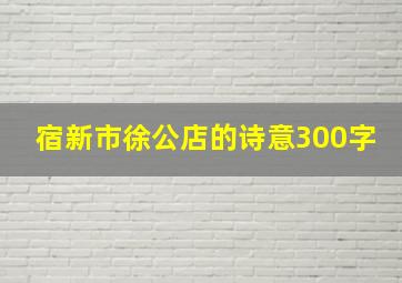 宿新市徐公店的诗意300字