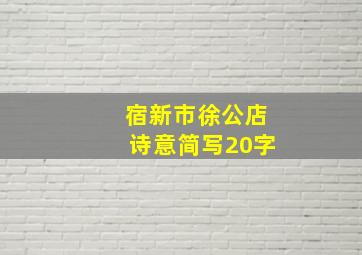 宿新市徐公店诗意简写20字