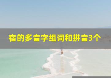 宿的多音字组词和拼音3个