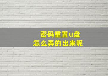 密码重置u盘怎么弄的出来呢