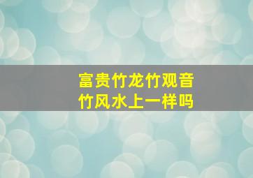 富贵竹龙竹观音竹风水上一样吗