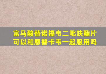 富马酸替诺福韦二吡呋酯片可以和恩替卡韦一起服用吗