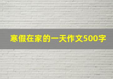 寒假在家的一天作文500字