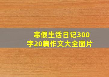 寒假生活日记300字20篇作文大全图片