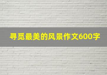 寻觅最美的风景作文600字