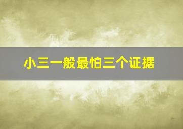 小三一般最怕三个证据