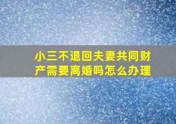 小三不退回夫妻共同财产需要离婚吗怎么办理