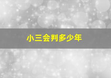 小三会判多少年