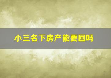 小三名下房产能要回吗