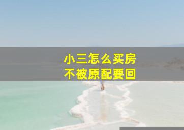 小三怎么买房不被原配要回