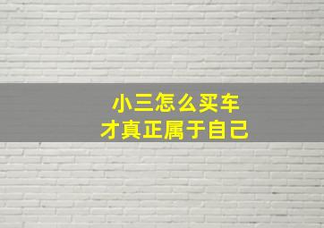 小三怎么买车才真正属于自己