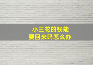 小三花的钱能要回来吗怎么办