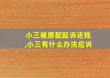 小三被原配起诉还钱,小三有什么办法应诉